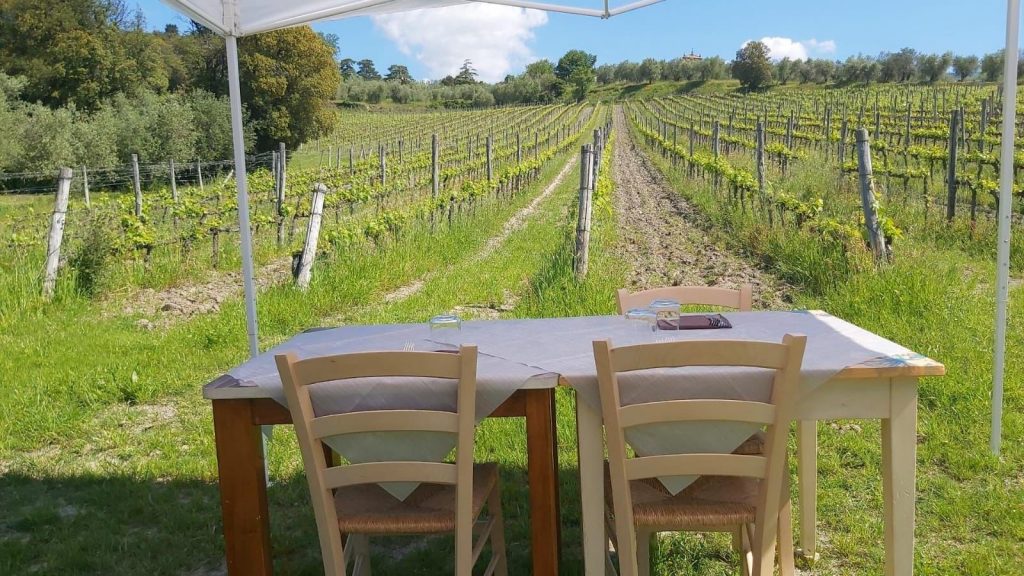 cena alla vigna